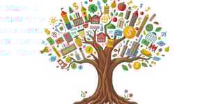 El Poder de la Diversificación: Protege y Crece tu Capital